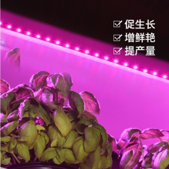 種植植物哪些情況使用植物補(bǔ)光燈？